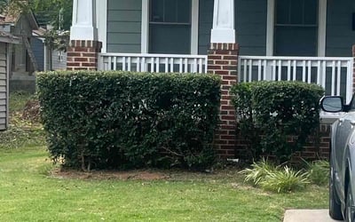 Photo of April M.'s yard after getting landscaping in Fuquay Varina, NC