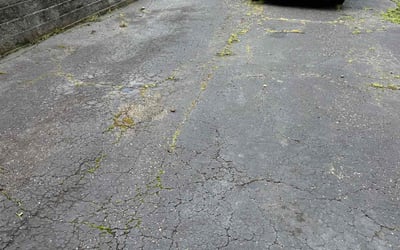 Photo of Mina H.'s yard after getting tree care in Pittsburgh, PA