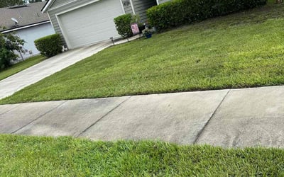 Photo of Sarah V.'s yard after getting landscaping in Middleburg, FL
