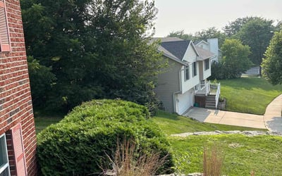 Photo of Matt B.'s yard after getting landscaping in Madison, WI