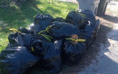 Photo of Susan D.'s yard after getting landscaping in Century, FL