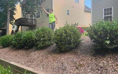 Photo of James B.'s yard after getting landscaping in Nelson, GA
