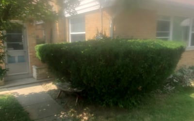 Photo of Karen S.'s yard after getting landscaping in Walton, KY