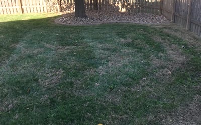 Photo of Kimberly M.'s yard after getting landscaping in Hardin, MO
