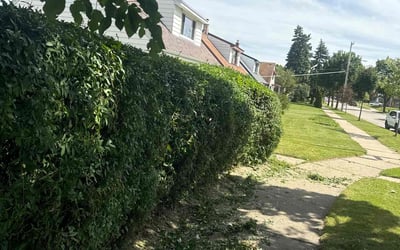 Photo of Ashruf S.'s yard after getting landscaping in Germantown, WI