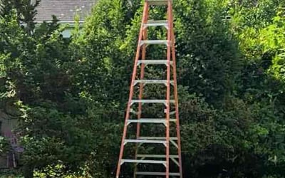 Photo of David G.'s yard after getting landscaping in Port Washington, NY