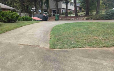 Photo of Pat F.'s yard after getting landscaping in Clinton, SC