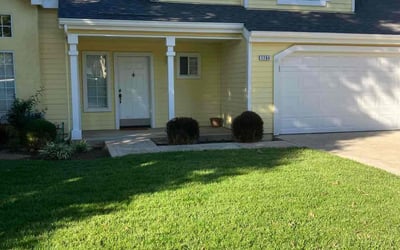 Photo of Curtis P.'s yard after getting tree care in Clovis, CA