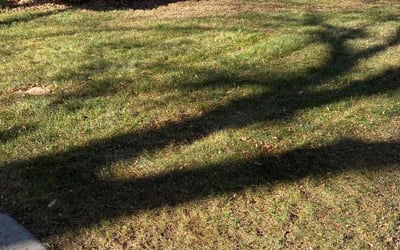 Photo of Paul A.'s yard after getting landscaping in Deer Trail, CO