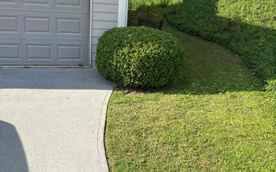 Photo of Linda T.'s yard after getting landscaping in Woodstock, GA