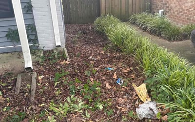 Photo of Sharon W.'s yard after getting landscaping in Virginia Beach, VA
