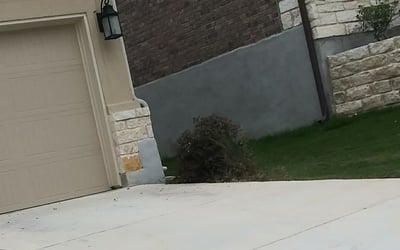 Photo of Daniel C.'s yard after getting landscaping in Spring Branch, TX