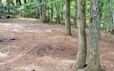 Photo of Nicole J.'s yard after getting landscaping in Stockbridge, GA