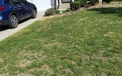 Photo of Larry C.'s yard after getting landscaping in Schley, VA