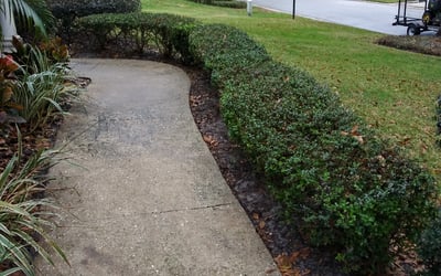 Photo of Katie S.'s yard after getting landscaping in Zellwood, FL