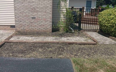 Photo of Robbin A.'s yard after getting tree care in Chevy Chase, MD