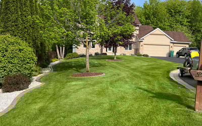 Photo of Joy M.'s yard after getting tree care in Waconia, MN