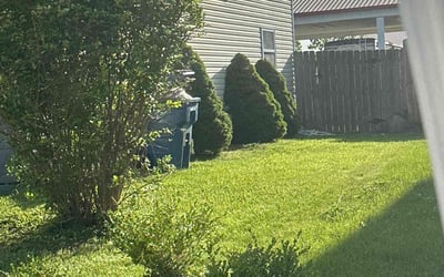 Photo of Samuel D.'s yard after getting landscaping in Martinsville, IN