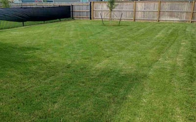 Photo of Michael W.'s yard after getting lawn care in Del Valle, TX