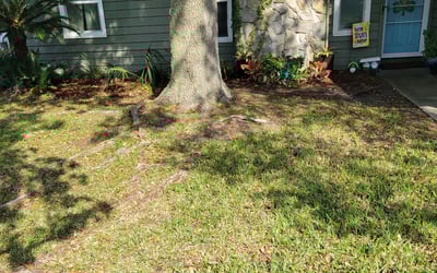 Photo of Beth S.'s yard after getting landscaping in Lake Geneva, FL