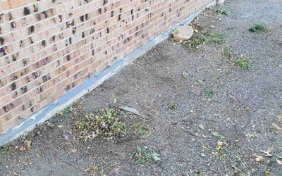 Photo of Elizabeth R.'s yard after getting landscaping in Silver Plume, CO