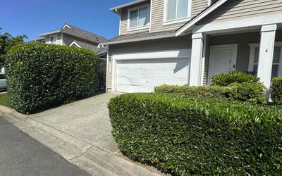 Photo of Robert B.'s yard after getting landscaping in Snohomish, WA