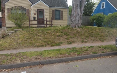 Photo of Megan P.'s yard after getting landscaping in Suffield, CT