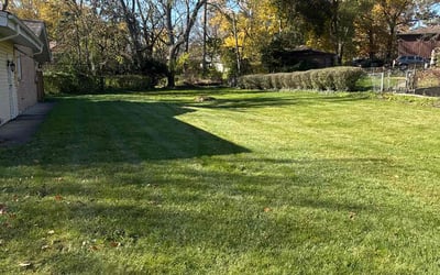 Photo of Kimberly A.'s yard after getting landscaping in Peotone, IL