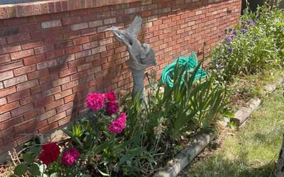Photo of Carrie Anne F.'s yard after getting tree care in Loveland, CO