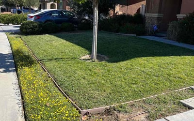 Photo of Susan B.'s yard after getting landscaping in Thousand Palms, CA