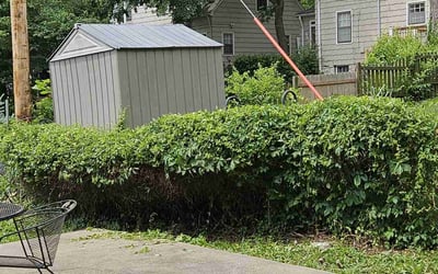 Photo of Linda A.'s yard after getting landscaping in De Soto, KS
