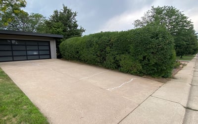 Photo of Chelsea K.'s yard after getting landscaping in Jefferson, CO