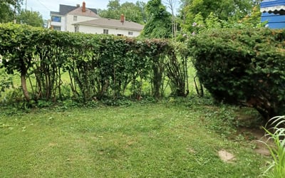 Photo of Michelle W.'s yard after getting landscaping in Burton, OH