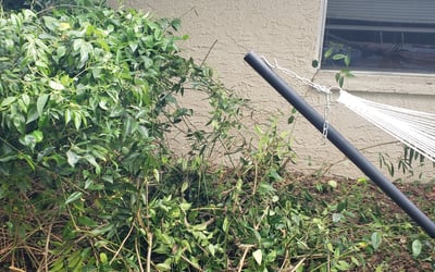 Photo of James M.'s yard after getting landscaping in Clearwater Beach, FL