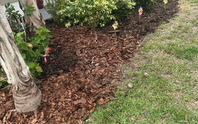 Photo of Megan D.'s yard after getting landscaping in Davenport, FL