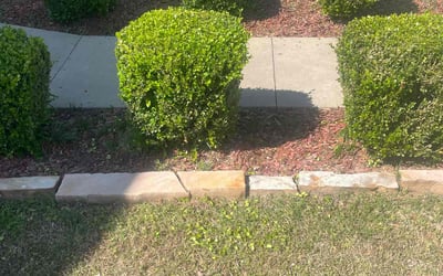 Photo of Madison H.'s yard after getting landscaping in Little Rock, AR