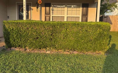 Photo of Selina G.'s yard after getting landscaping in Murfreesboro, TN