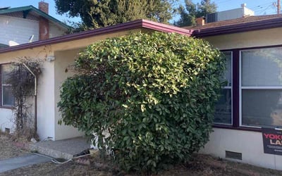 Photo of Michael B.'s yard after getting landscaping in Kerman, CA