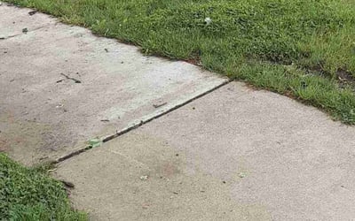 Photo of Stephanie S.'s yard after getting tree care in Niles, MI