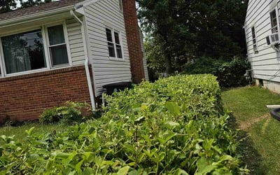 Photo of Stephen S.'s yard after getting landscaping in Hyattsville, MD