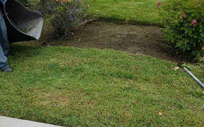 Photo of Janet K.'s yard after getting landscaping in Laguna Hills, CA