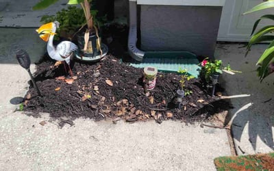 Photo of Julie R.'s yard after getting landscaping in Clermont, FL