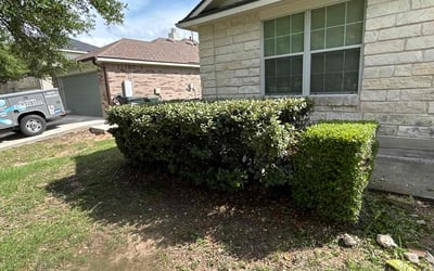 Photo of Tiffany H.'s yard after getting landscaping in Kyle, TX