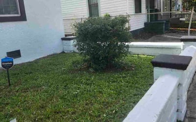 Photo of Eve H.'s yard after getting tree care in Atlantic Beach, FL