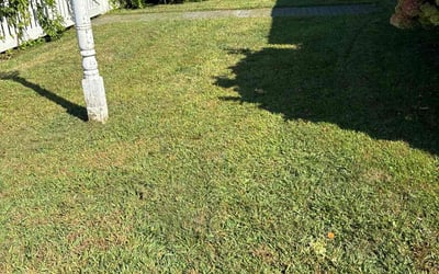 Photo of Dave R.'s yard after getting lawn care in Swansea, MA