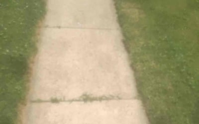 Photo of Crystal B.'s yard after getting landscaping in Folsom, PA