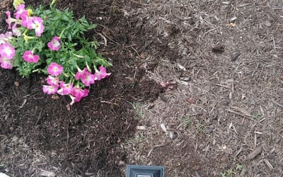 Photo of Darren B.'s yard after getting landscaping in Fentress, TX