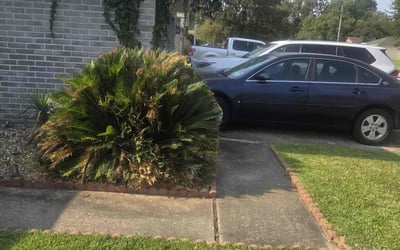 Photo of Richard R.'s yard after getting tree care in Spring, TX