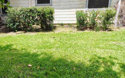 Photo of Jack E.'s yard after getting tree care in Angleton, TX