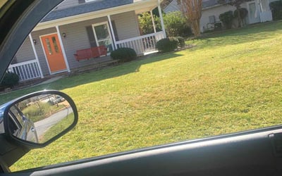 Photo of Shane H.'s yard after getting landscaping in Travelers Rest, SC